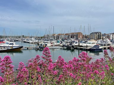 A marina with many docked boats and pink flowers in the foreground at Deer Leap House in Moreton