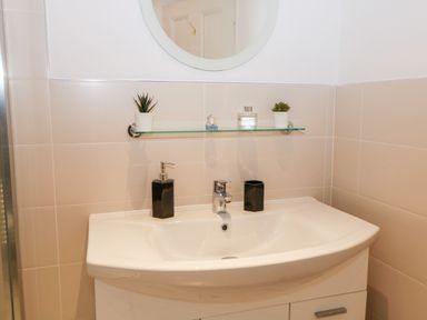 A bathroom sink with a mirror above and a glass shelf holding two small plants and a bottle at Hazeldene in Sleights