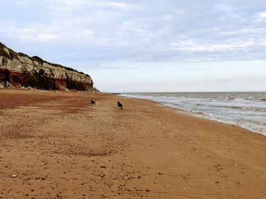 A sandy beach with two dogs running near the shoreline and cliffs in the background at Maples in Hunstanton