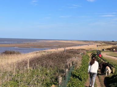 A coastal path with a person walking dogs near a beach with people in the distance at Maples in Hunstanton