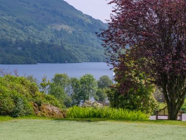 A garden with trees and a bench overlooking a lake and forested hills at Silverholme in Graythwaite near Hawkshead
