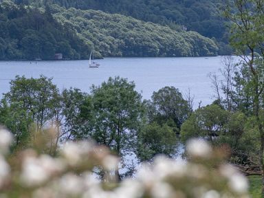 A lake with a sailboat in the water surrounded by trees and a forested hillside at Silverholme in Graythwaite near Hawkshead