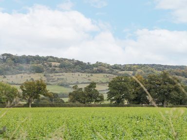 A green field with trees and hills in the background under a partly cloudy sky at The Coach House Apartment in Bredon