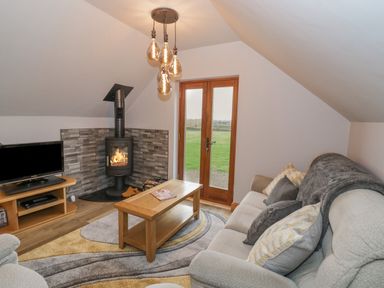 A living room with a sofa coffee table wood burning stove and television at Hallgarth Farm Holiday Lodge in Peopleton