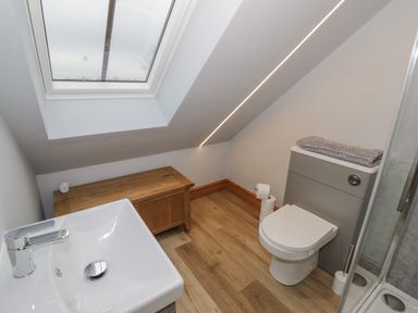 A bathroom with a toilet, sink, wooden storage chest, skylight window, and a glass shower at Hallgarth Farm Holiday Lodge in Peopleton