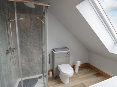 A bathroom with a shower enclosure toilet and slanted skylight window at Hallgarth Farm Holiday Lodge in Peopleton