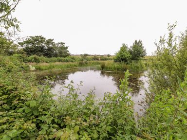A pond surrounded by bushes and trees with grass fields and houses in the distance at Sgubor in Valley