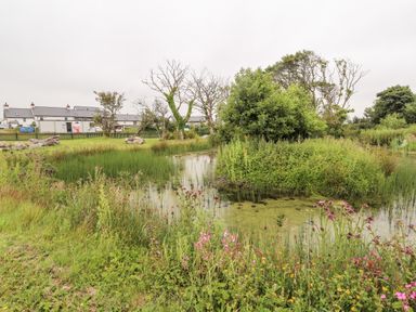 A pond with overgrown vegetation and wildflowers near houses with a fence in the background at Sgubor in Valley