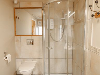 A bathroom with a toilet a glass shower enclosure a wall mirror and a wall-mounted coat hook at Little Brook in Nottington near Weymouth