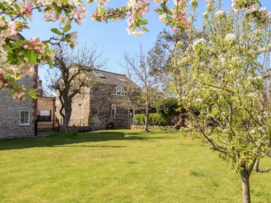 A garden with flowering trees and stone buildings at Little Brook in Nottington near Weymouth