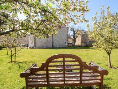 A garden with a wooden bench and blossoming trees at Little Brook in Nottington near Weymouth