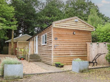 An outdoor view of a wooden cabin with steps and plants at Orchard Lodge in Bolney