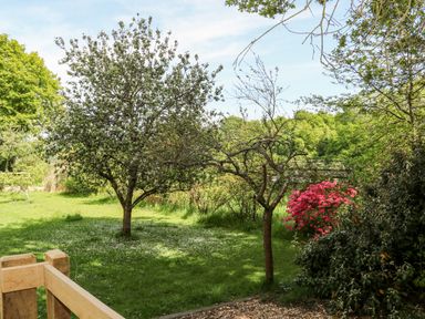 A garden with trees and flowering bushes near a wooden fence at Harvest Lodge in Wineham near Bolney