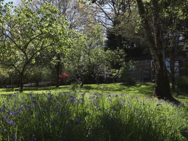 A garden with flowers and trees at Harvest Lodge in Wineham near Bolney