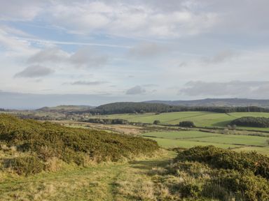 A rural landscape with grassy fields shrubs and distant wooded hills at Stapeley Pod in White Grit near Chirbury