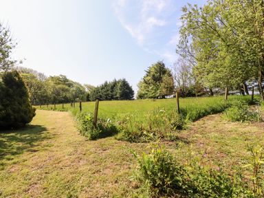A grassy field with a fenced area and trees in the background at Gisburn Forest Lodge Tosside near Wigglesworth
