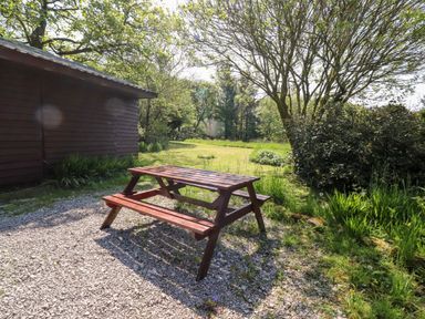 A wooden picnic table on gravel near a wooden shed and greenery at Gisburn Forest Lodge Tosside near Wigglesworth