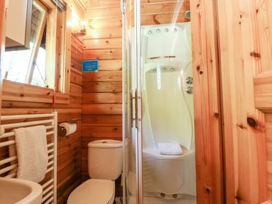 A bathroom with a toilet a shower cabin a towel rack and wooden walls at Gisburn Forest Lodge Tosside near Wigglesworth