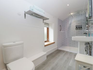 A bathroom with a toilet a sink a walk-in shower and towels on a rack at Bluebell Cottage in Pembridge