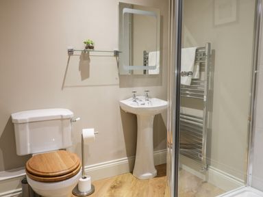 A bathroom with a toilet with a wooden seat a pedestal sink a mirror a glass shelf with a plant and a chrome towel rack at Pheasant's Roost in Lelley near Burton Pidsea