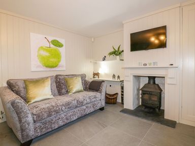 A living room with a gray sofa with green pillows a wood burning stove a wall mounted tv and a painting of a green apple at Apple Barn in Crantock