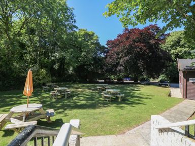 An outdoor grassy area with round wooden picnic tables and umbrellas surrounded by trees and parked cars at Miles Retreat in Hayle