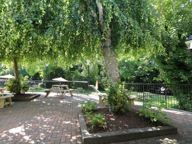 A patio area with a large tree in a planter benches and picnic tables with umbrellas and green lawn at Miles Retreat in Hayle