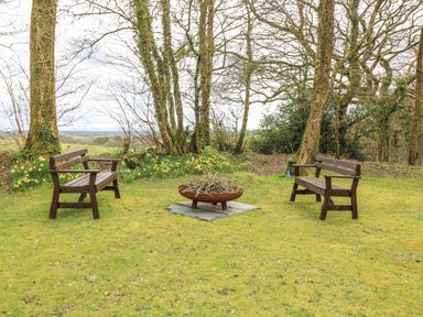 Two wooden benches facing a fire pit with sticks in a grassy area surrounded by trees and daffodils at Ash Cottage in Warbstow