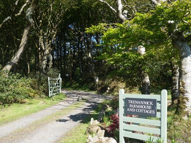 A gravel driveway through trees with a wooden sign reading Trenannick Farmhouse and Cottages