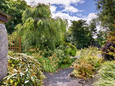 A garden path with various shrubs trees and flowers under a blue sky at Little Leighs in Warbstow