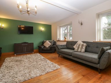 A living room with a green accent wall a mounted television a dark wood cabinet a dark leather armchair a gray sofa with cushions and a beige rug on wooden floor at About Time Cottage in Parkend