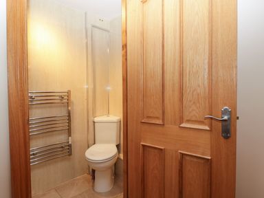 A small bathroom with a toilet a heated towel rack and a wooden door at About Time Cottage in Parkend