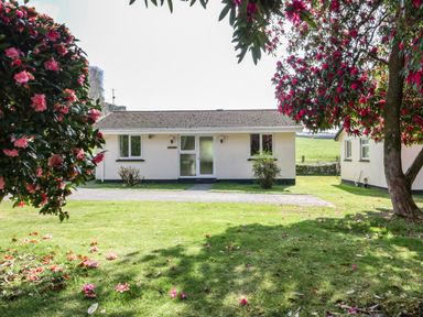 A single story house with white walls and a tiled roof surrounded by flowering trees and green grass at Watergate Bay in Liskeard