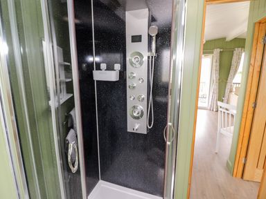A shower enclosure with controls and a handheld showerhead next to a room with green walls and wooden door at Cotswold View 1 in Honeybourne