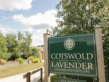 An outdoor sign for Cotswold Lavender growers and distillers with trees and a building in the background at Cotswold View 1 in Honeybourne