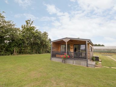 A small wooden cabin with a covered porch and flowers on grass near a hedge at Cotswold View 4 Bretforton near Evesham