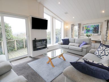A living room with sofas coffee table wall-mounted TV and fireplace at Oyster Bay Lodge in Dalbeattie