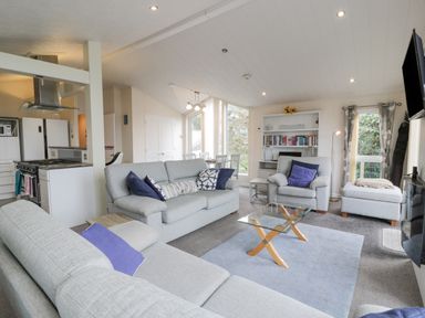 A living room with sofas armchair glass coffee table bookshelf and dining table near kitchen at Oyster Bay Lodge in Dalbeattie