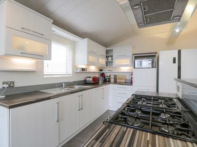 A kitchen with white cabinets a window a sink a gas stove a microwave and a refrigerator at Oyster Bay Lodge in Dalbeattie