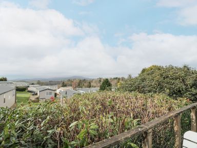 A view of mobile homes and trees beyond a wooden fence with shrubbery at Oyster Bay Lodge in Dalbeattie