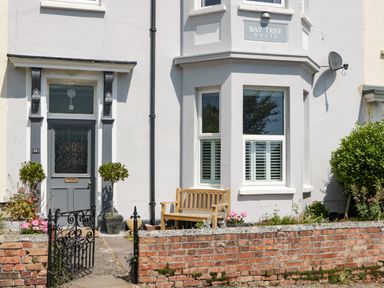 The exterior of a white house with a gray door a wooden bench and flower beds behind a low brick wall at Bay Tree House in Seaton Devon
