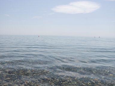 A pebble beach and calm sea with two people paddleboarding at Bay Tree House in Seaton Devon