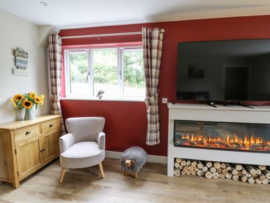 A sitting area with an armchair a cabinet with sunflowers a faux fireplace and a large TV at Talarddu Cottage in Builth Wells