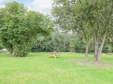A picnic bench on a grassy area with trees and a forest background at Talarddu Cottage in Builth Wells