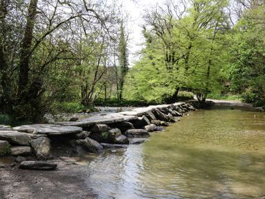 A shallow river with a stone ford and trees along the banks at Harbour Cottage in Watchet