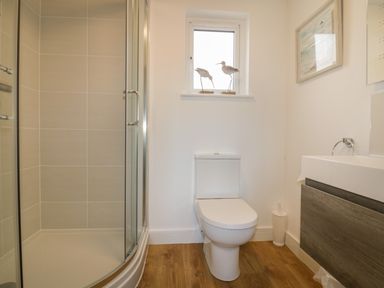 A bathroom with a toilet a glass shower enclosure a sink with a cabinet and a window with bird decorations at Woodhall in Cardinham