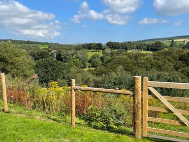 A wooden fence and gate with wildflowers and trees in the background at Woodhall in Cardinham