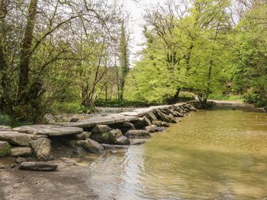 A river with stepping stones and trees on both sides at The Stables in Crowcombe