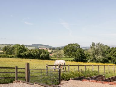 A white horse grazing in a fenced grass field with trees and hills in the background at The Stables in Crowcombe
