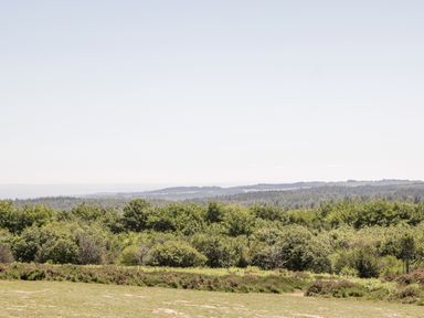 A landscape with green bushes and trees with hills in the distance at The Stables in Crowcombe